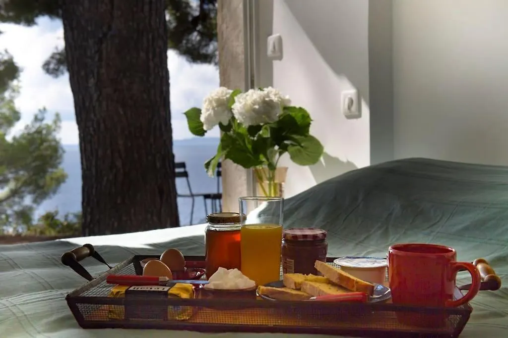 Villa 6 Chambres, Vue Mer Sur 180°,Plage Privee. Cavalaire-sur-Mer 0*,