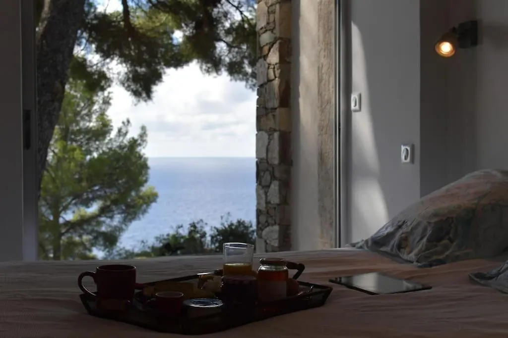 Villa 6 Chambres, Vue Mer Sur 180°,Plage Privee. 滨海卡瓦莱尔